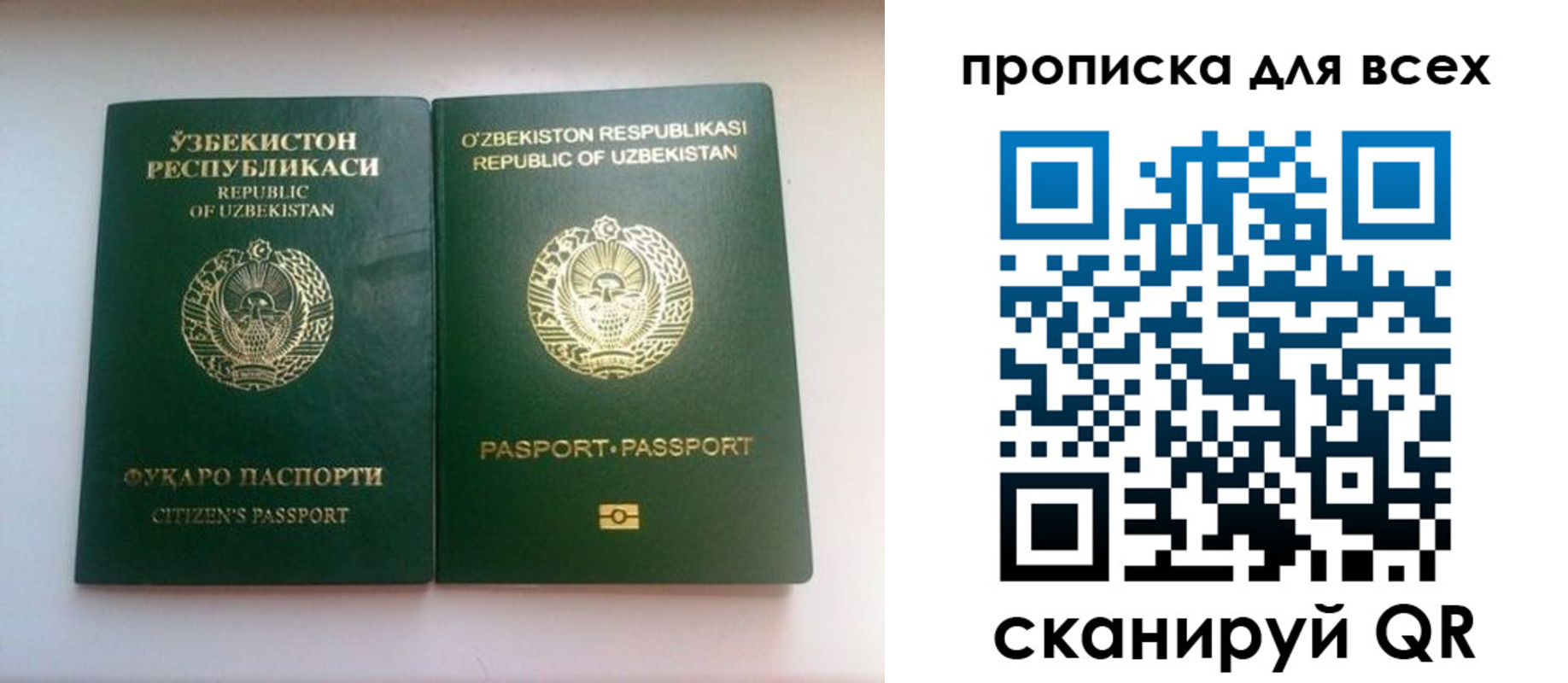 прописка для школы в Анапе